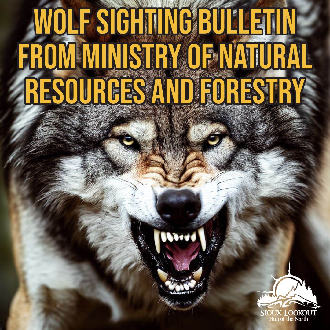Wolf Sighting Bulletin