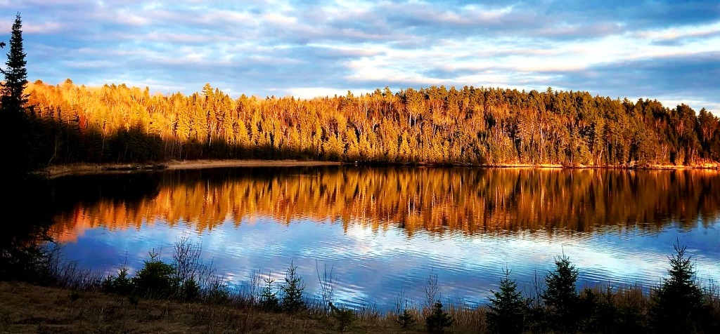 Fall Colours Coming In-Jamie Krause