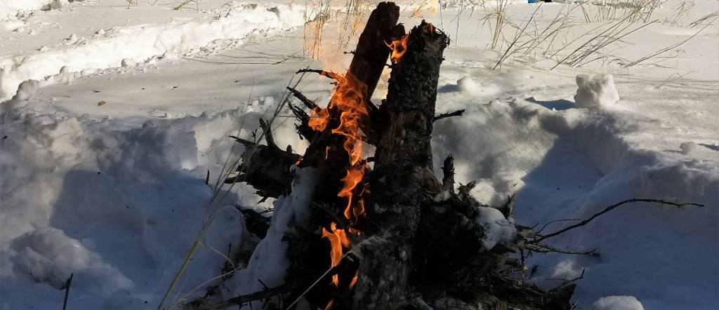 Winter Bonfire-Michael Starratt