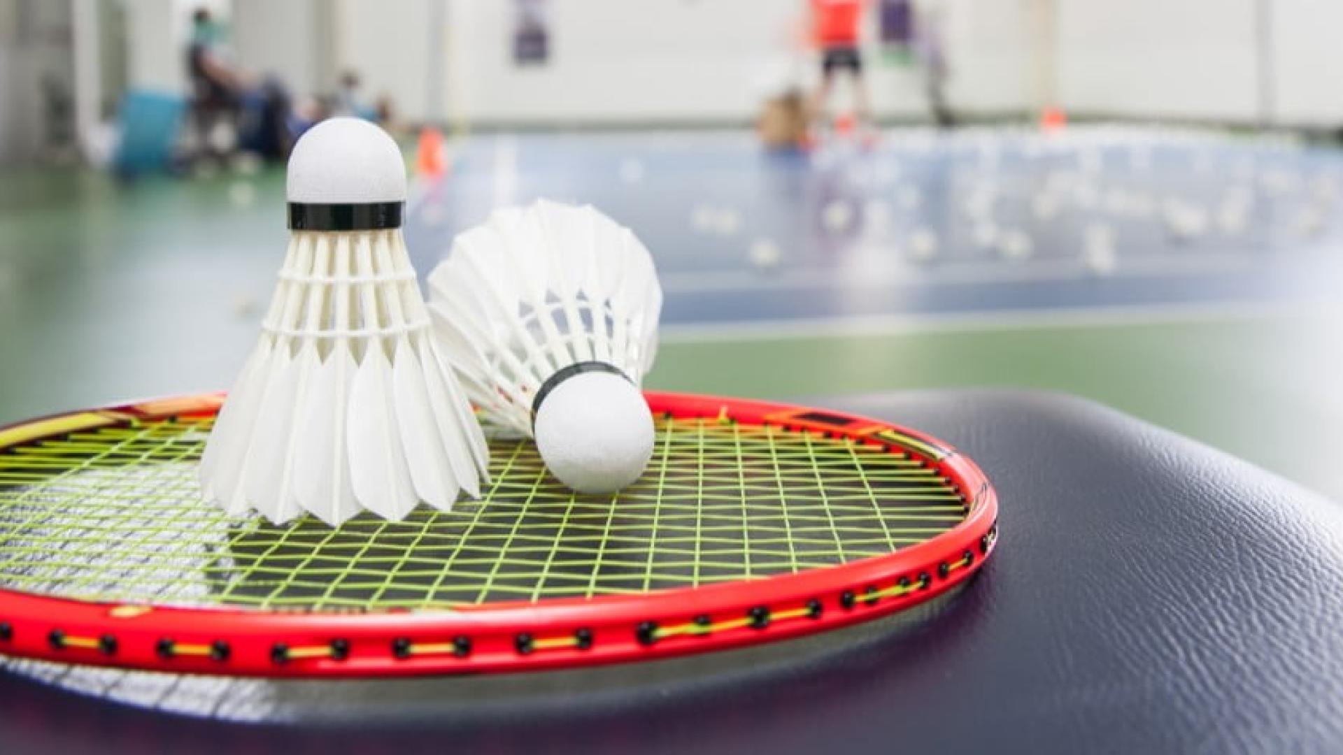 badminton racquet with birdies