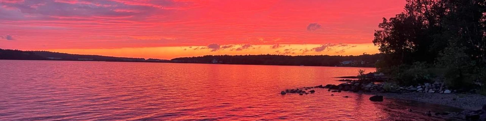 pink and blue sunset over a lake with some trees on a peninsula 