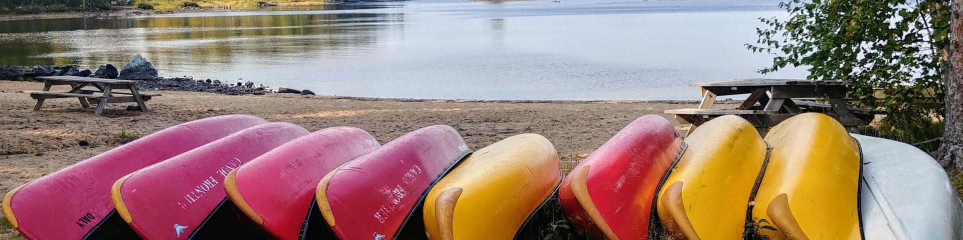 A line of canoes along a beach