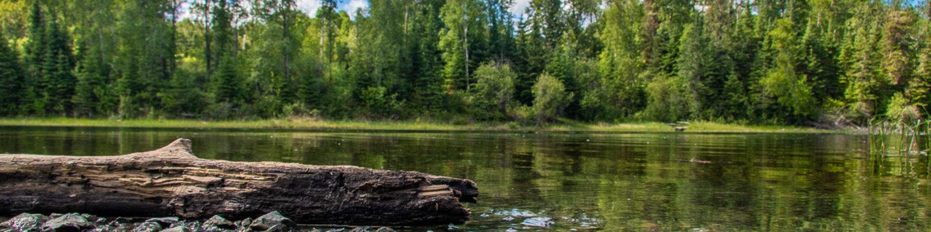 Superior Junction boat launch on a sunny day