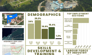 A one-page infographic with statistics on demographics, the labour force, and skills.